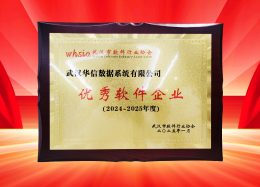 喜讯丨K8凯发(中国)数据获评2024~2025年度武汉市软件行业“优秀企业”、“优秀工作者”荣誉称号！